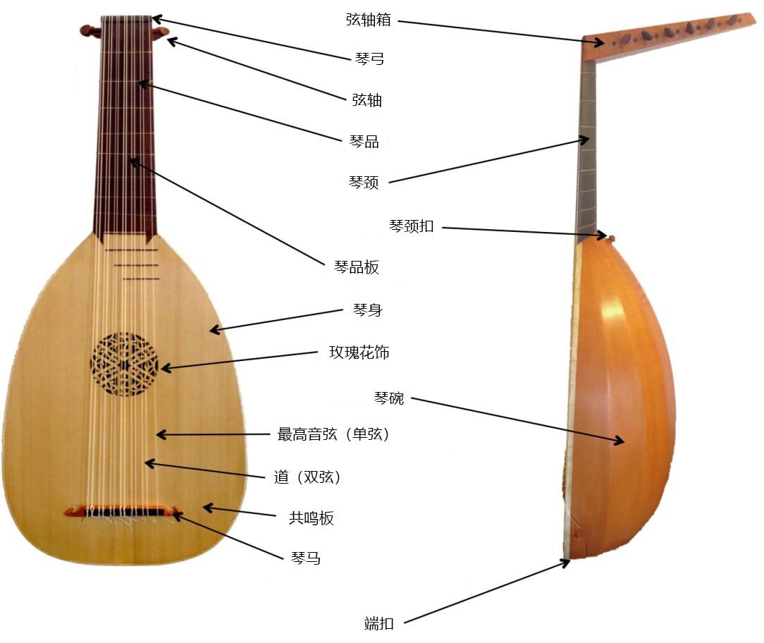 用肠子做琴弦的乐器之王鲁特琴