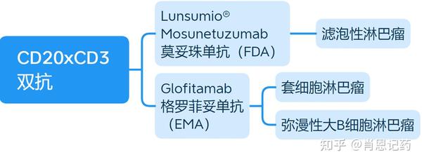 记住所有FDA生物药 | 两款CD20 X CD3双抗 | Mosunetuzumab、Glofitamab | B细胞淋巴瘤 - 知乎