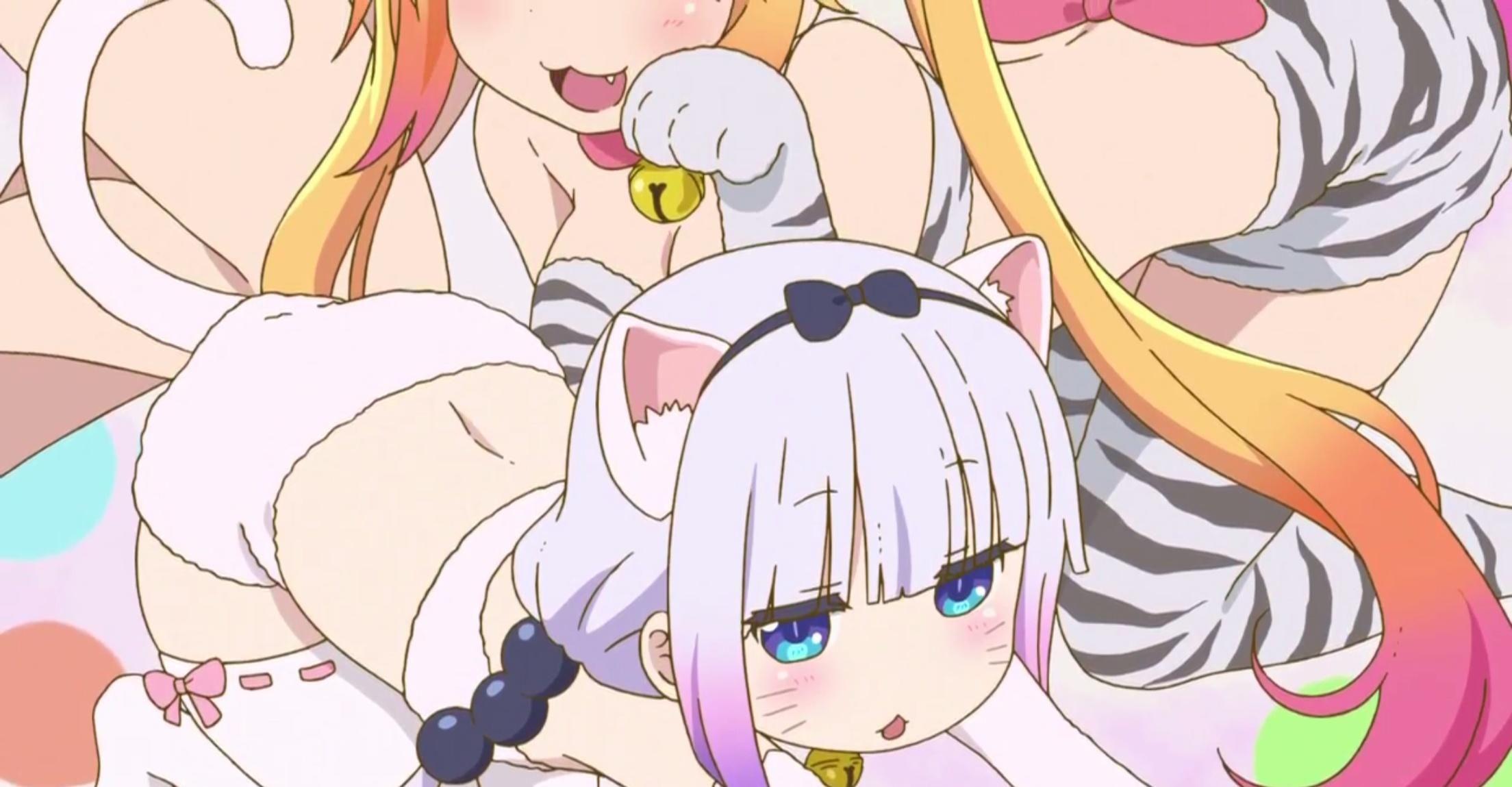 如何看待b萌盾娘票数胜过康娜所引发的一系列事件?