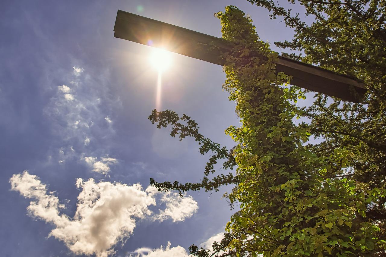 如何美化电线杆
