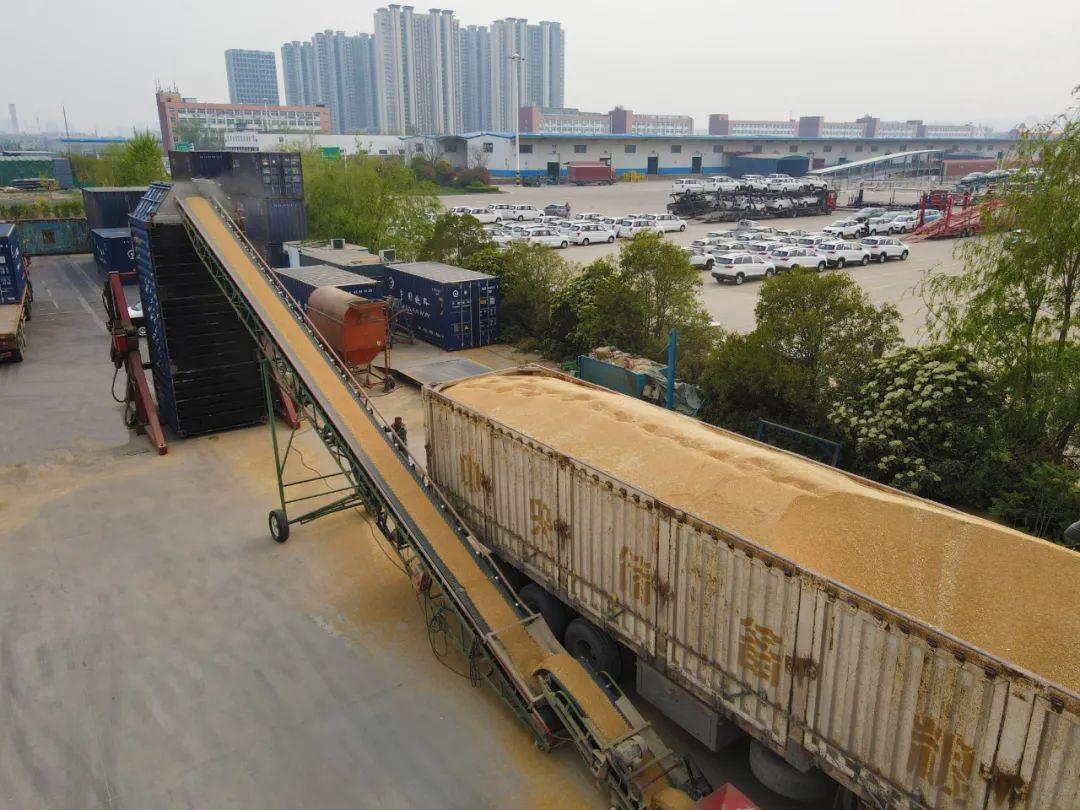 集装箱同样适用于散粮运输,每个集装箱能装载货物35吨.