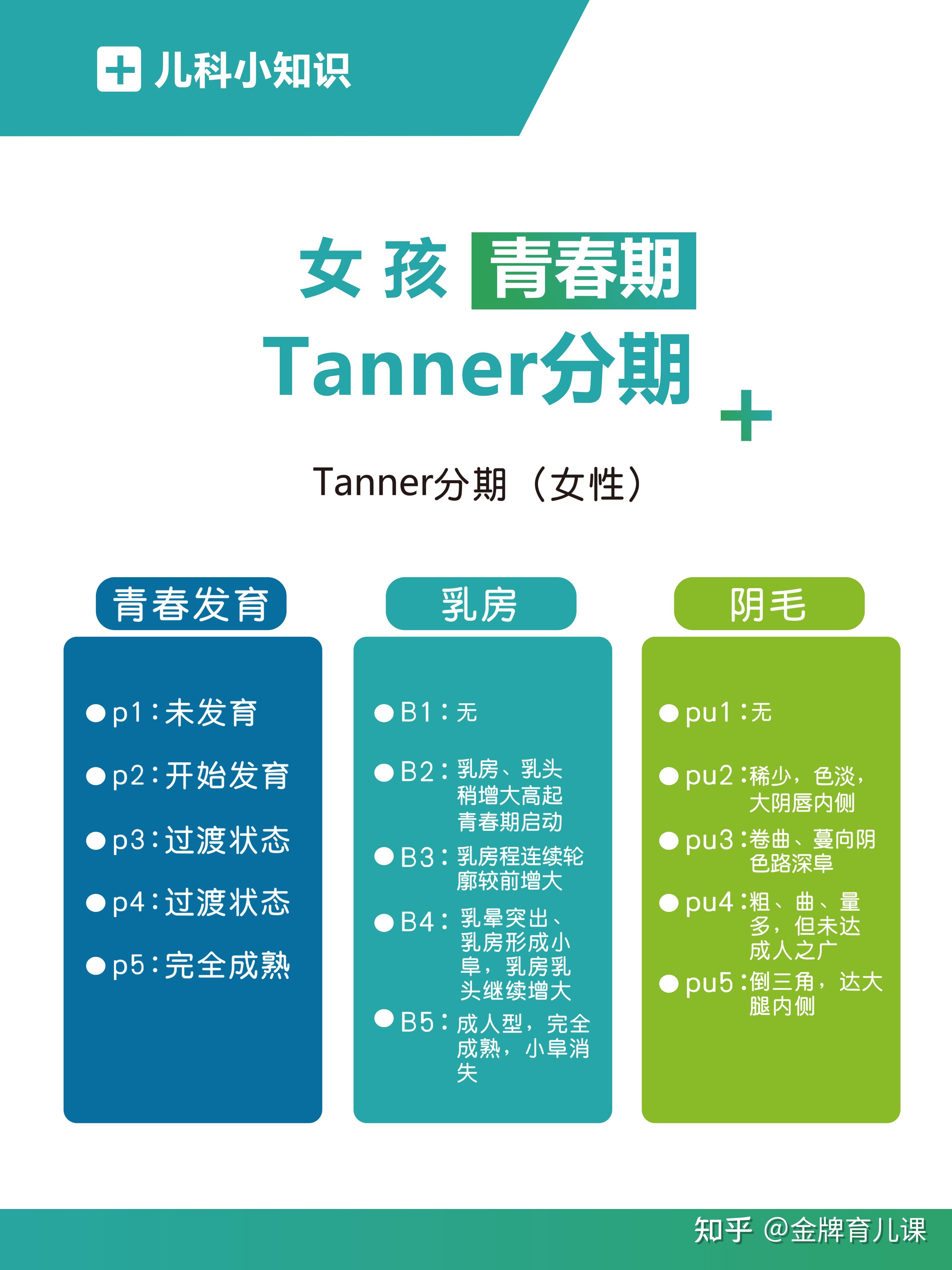 青春期2个月能长高多少cm?