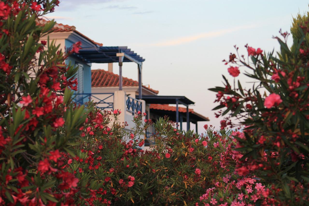 建筑元素是什么