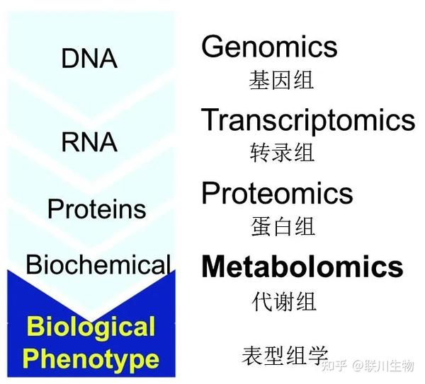 纯科普！关于代谢组学你必须要知道的点 - 知乎