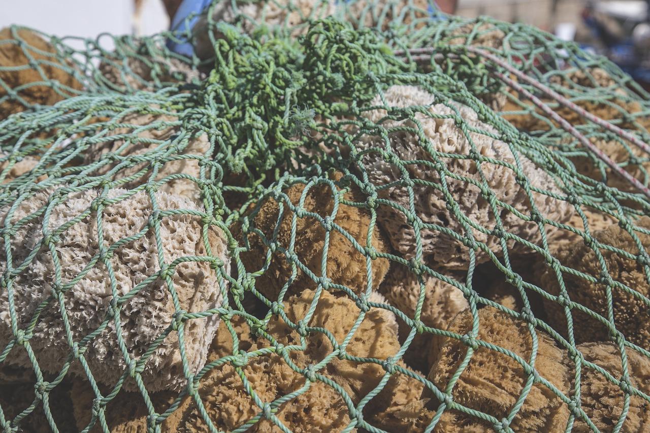 4. 泡泡海周边路网