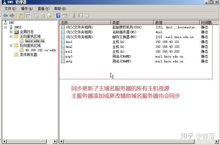 Windows server DNS服务器配置与管理