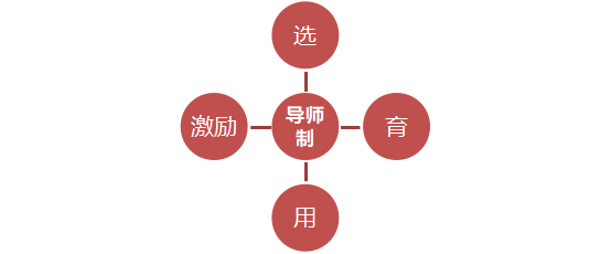 从零开始打造带教体系，5年带教老司机的实操方法【在岗带教系列三】 - 知乎