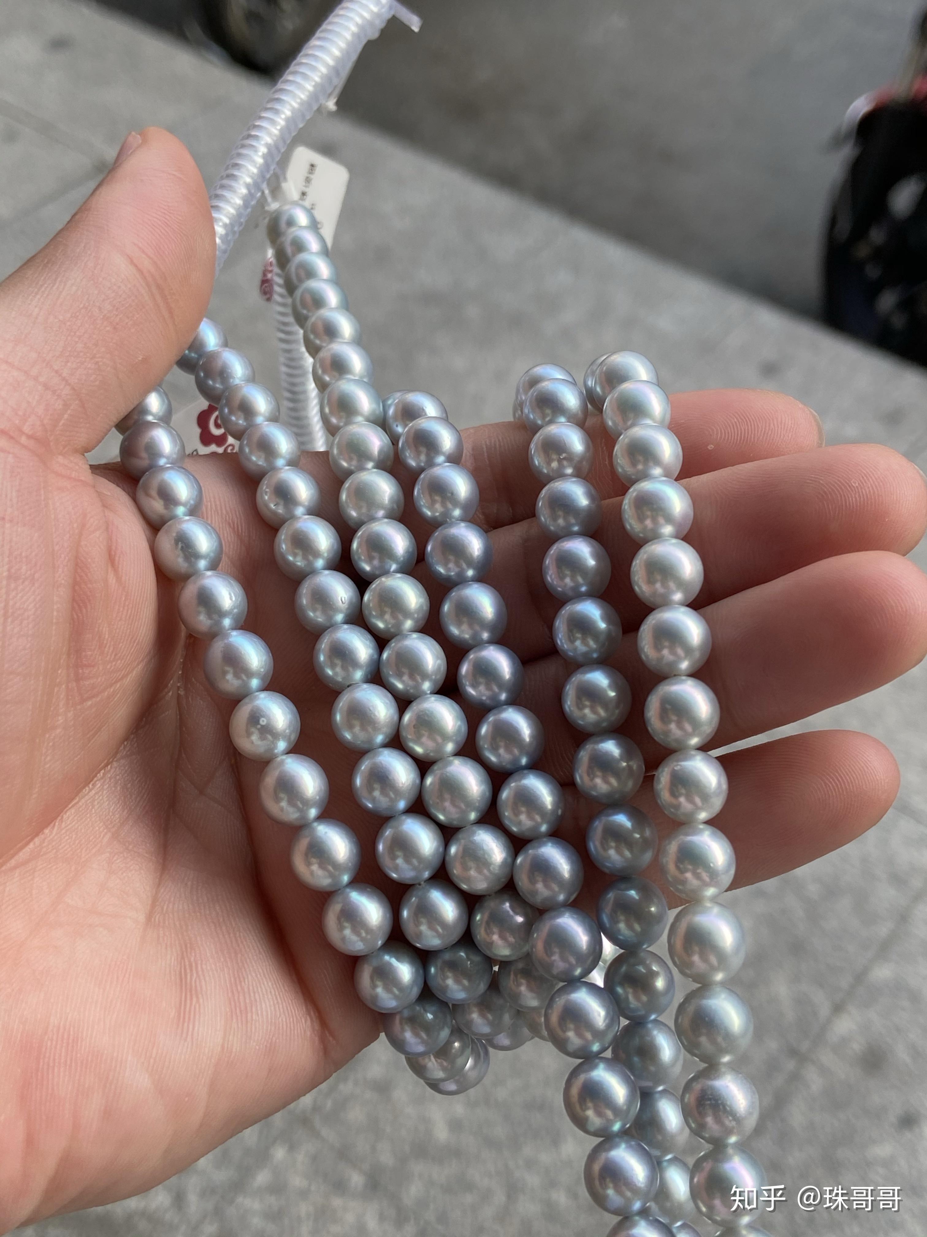 4,akoya真多麻价格