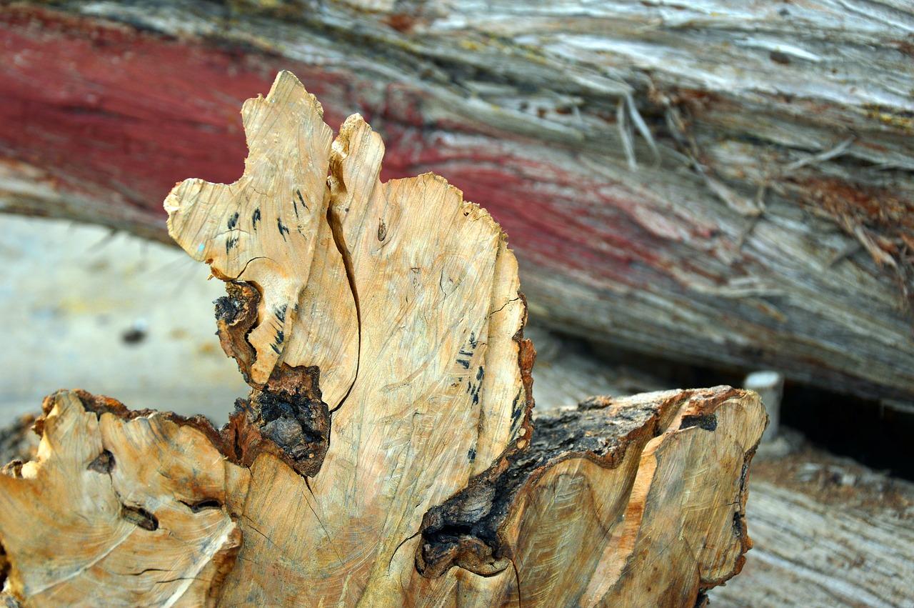 3. 粘合剂品牌对比