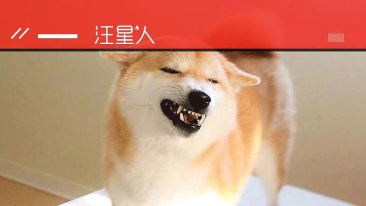 你的口红会让狗子失去丁丁！快住手！！ - 知乎