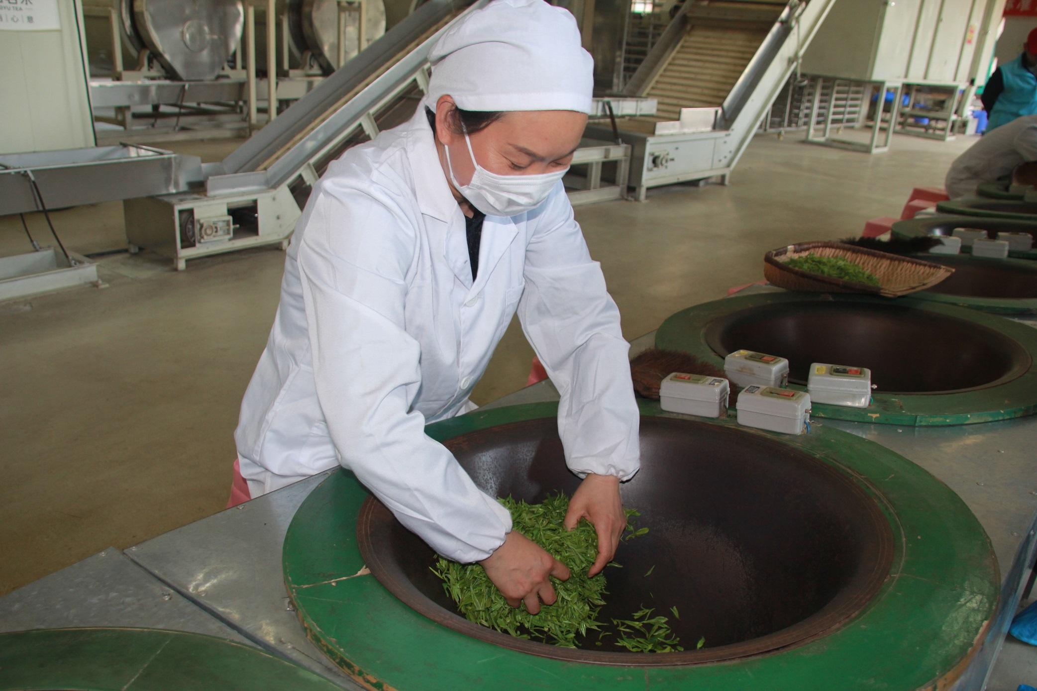 陕西网上茶博会陕茶之星名单公布陕西西乡东裕茶叶获金奖