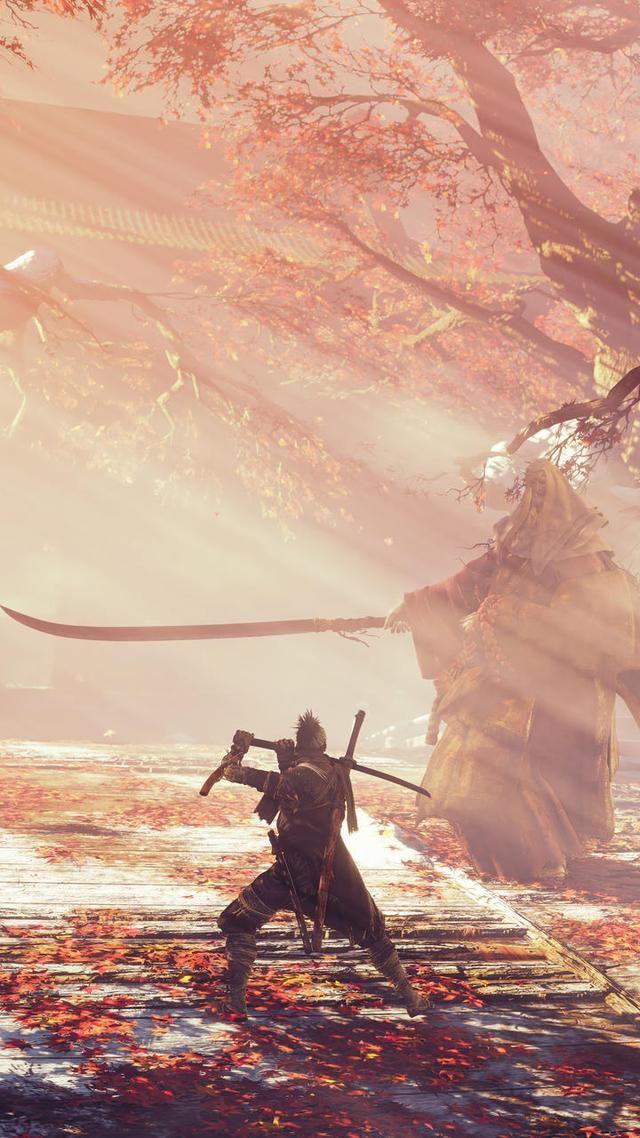 有什么游戏只狼影逝二度好看的壁纸分享下