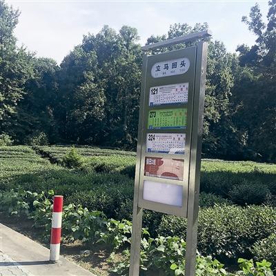 杭州通往灵隐寺的路上,有一个公交车站叫「立马回头」 总是忍不住要回