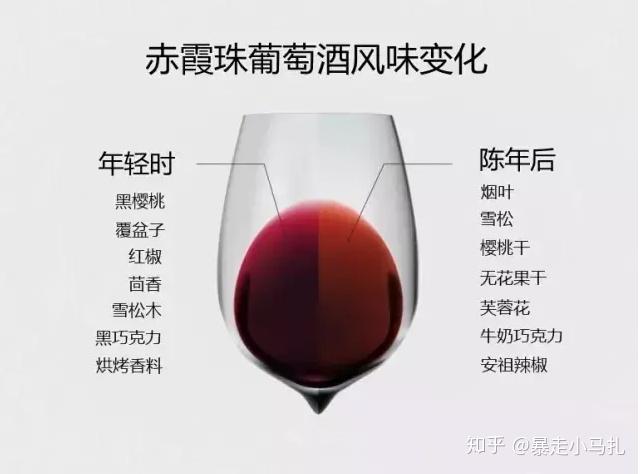 2026年红酒/葡萄酒选购指南，有哪些红酒推荐？红葡萄酒品牌哪个适合你？（2026年1月推荐）