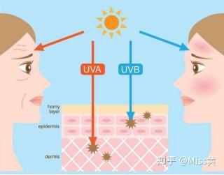 固体健康化妆品_欧莱雅活性健康化妆_健康化妆美容论文