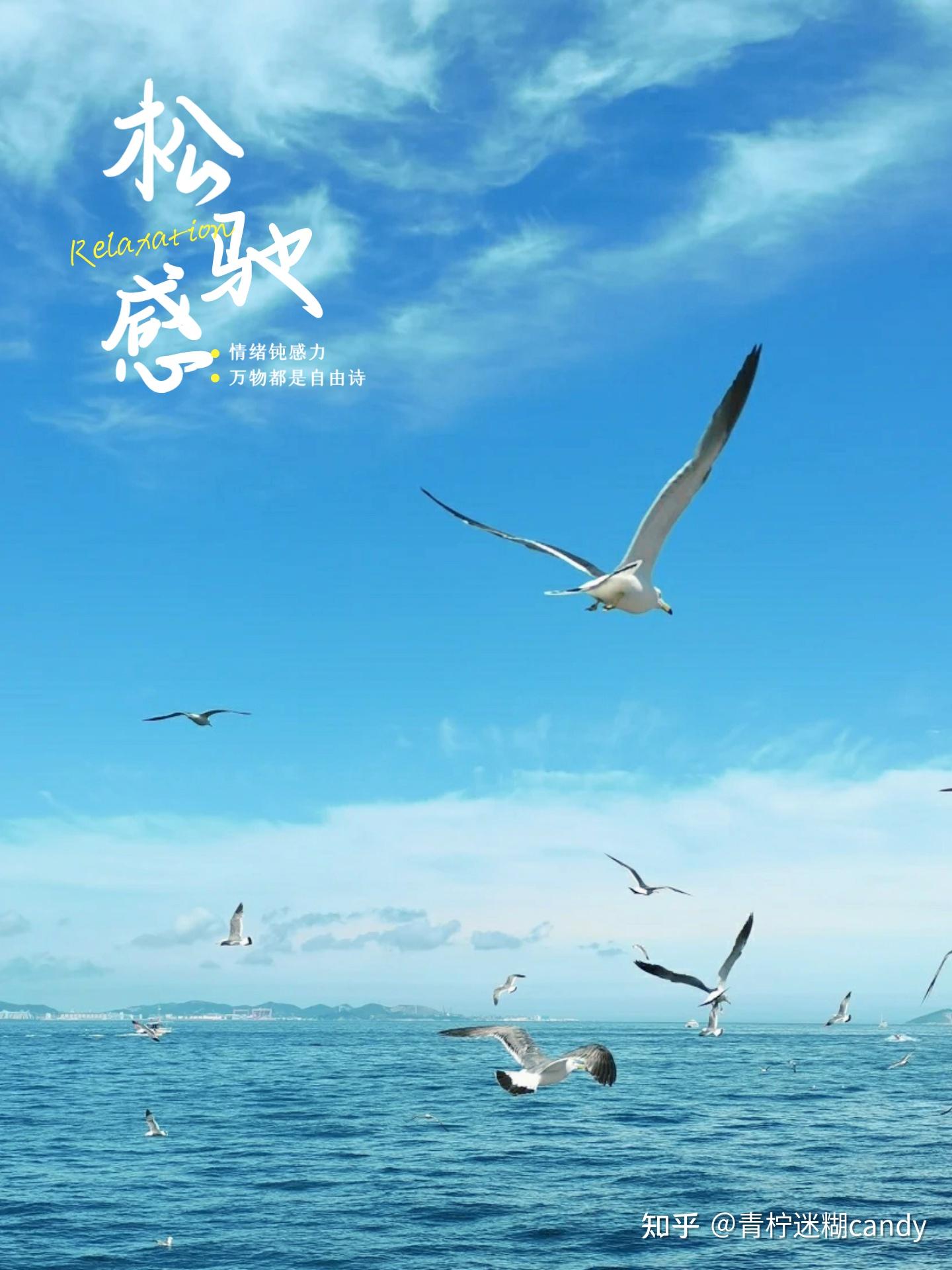 智能驾驶系统在高精地图、视觉感知和软件稳定性方面存在哪些问题？ - 知乎