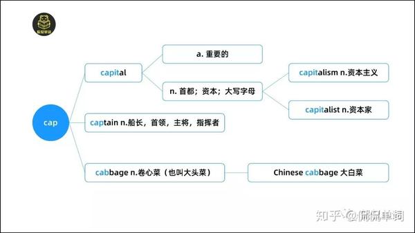 侃侃單詞詞根詞綴記單詞capcapit