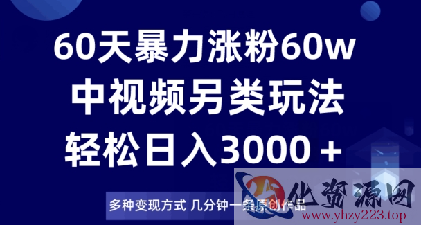 60天暴力涨粉60W，中视频另类玩法，日入3000＋，几分钟一条原创作品多种变现方式