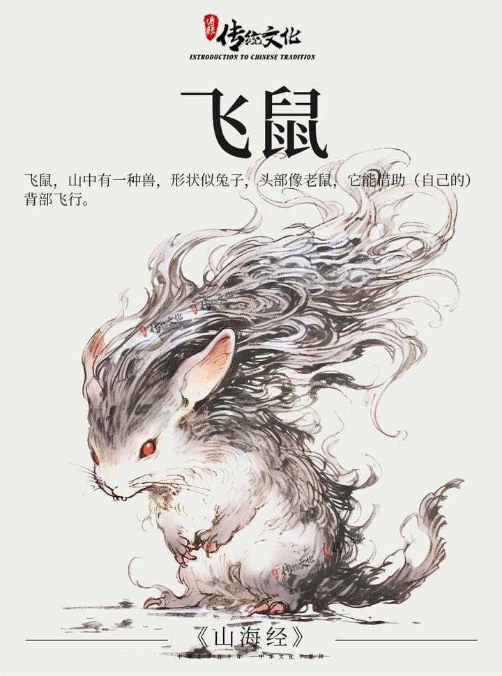 《山海经》中国神话传说上古神兽之飞鼠 - 知乎