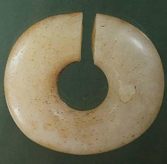 鳄形龙与蛇形龙的演变 - 知乎