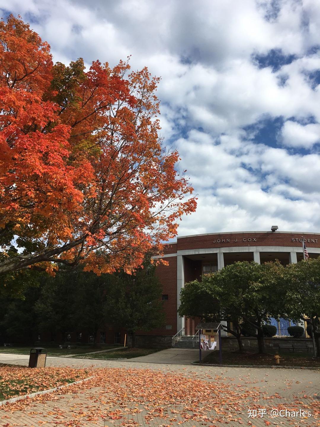 就读于美国康涅狄格州的桥港大学universityofbridgeport是怎么样一种