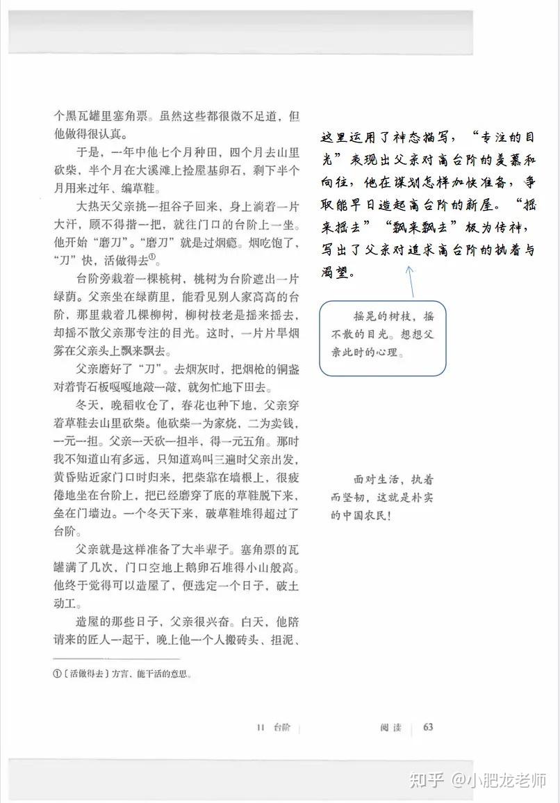 七下第12课台阶笔记