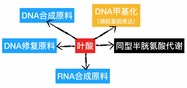 知乎