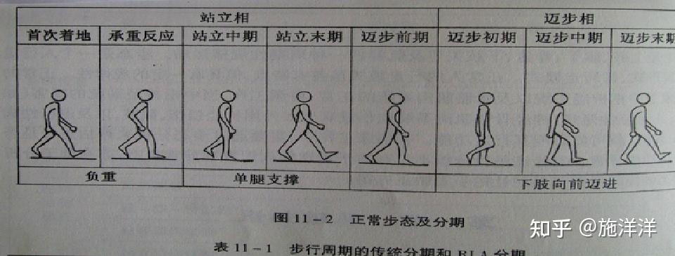 正常人步态分析指标有哪些？ - 知乎