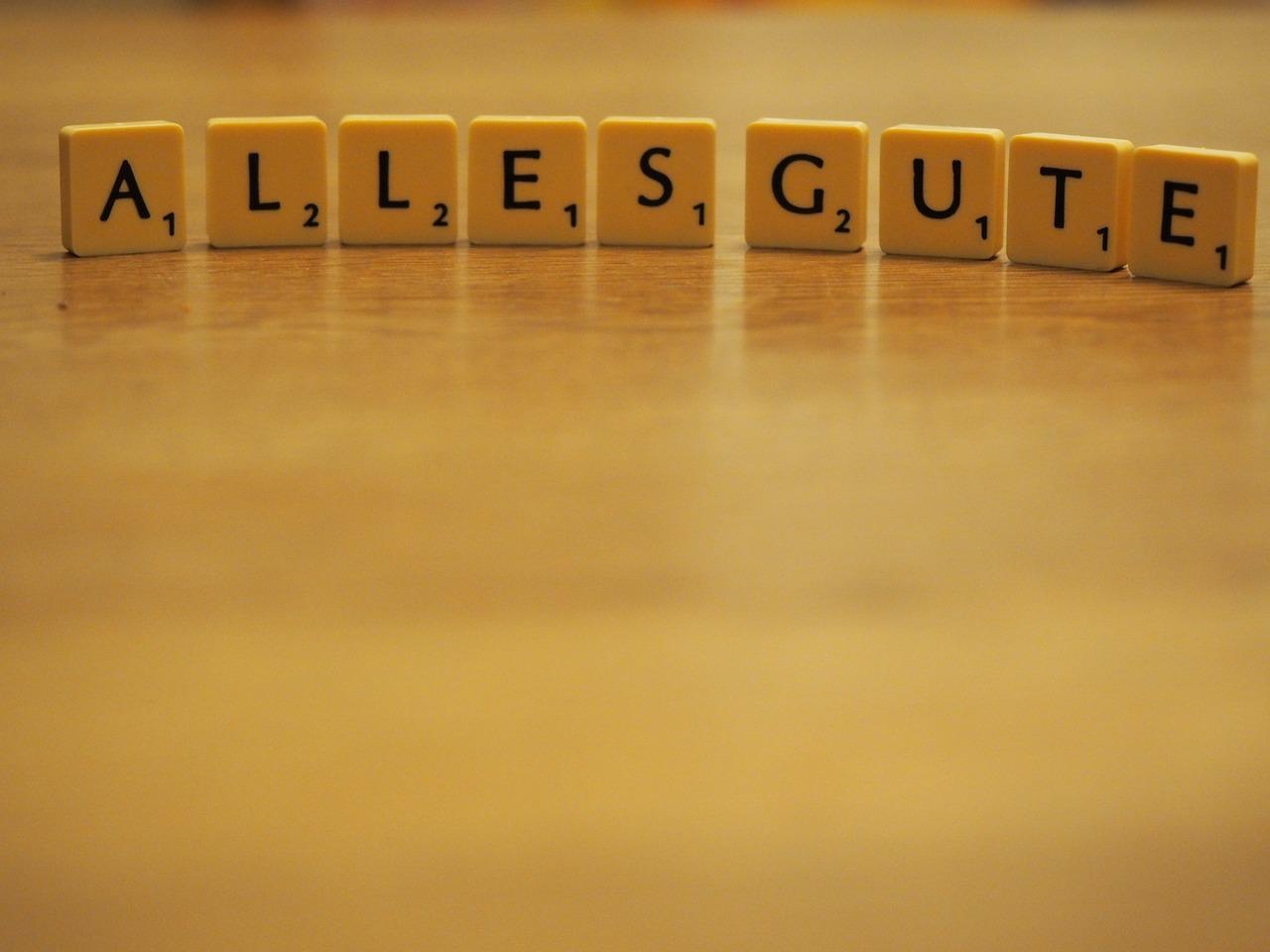 迎接客户送什么花