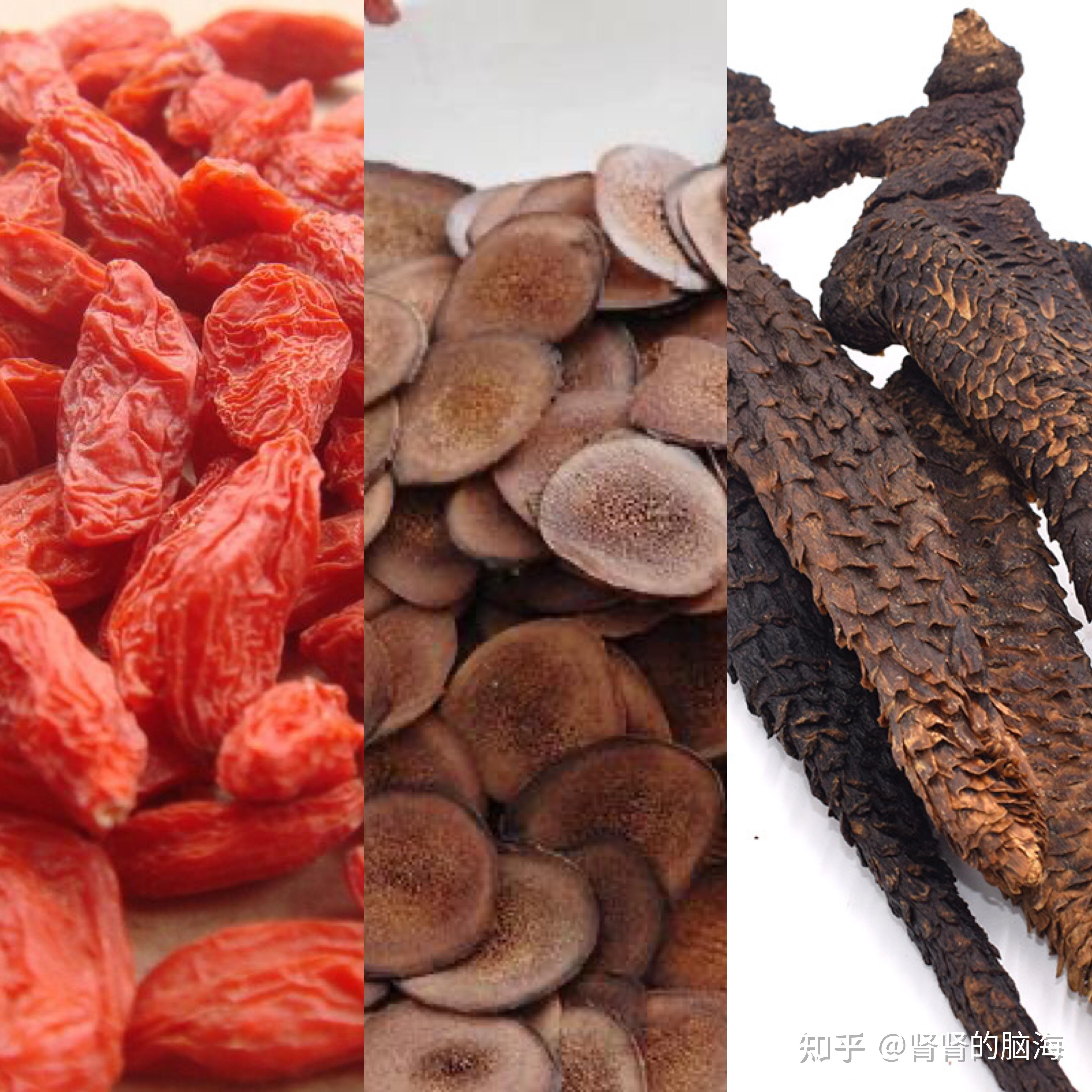 枸杞真的能补肾吗枸杞的作用是什么