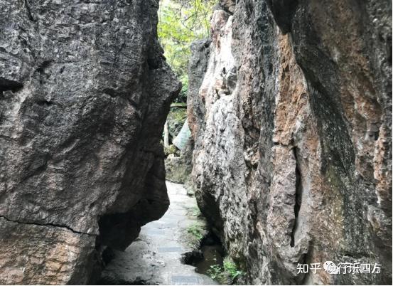 黄果树大瀑布细品-黄果树的瀑布短文答案