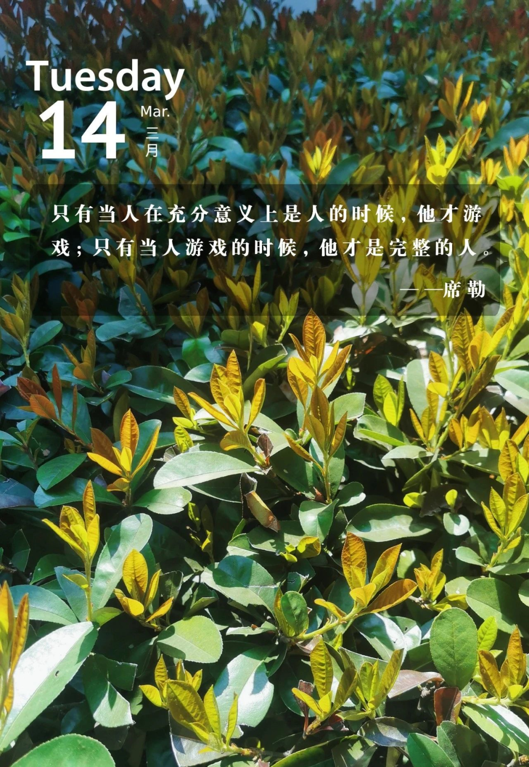 只有当人游戏的时候,他才是完整的人 - 知乎
