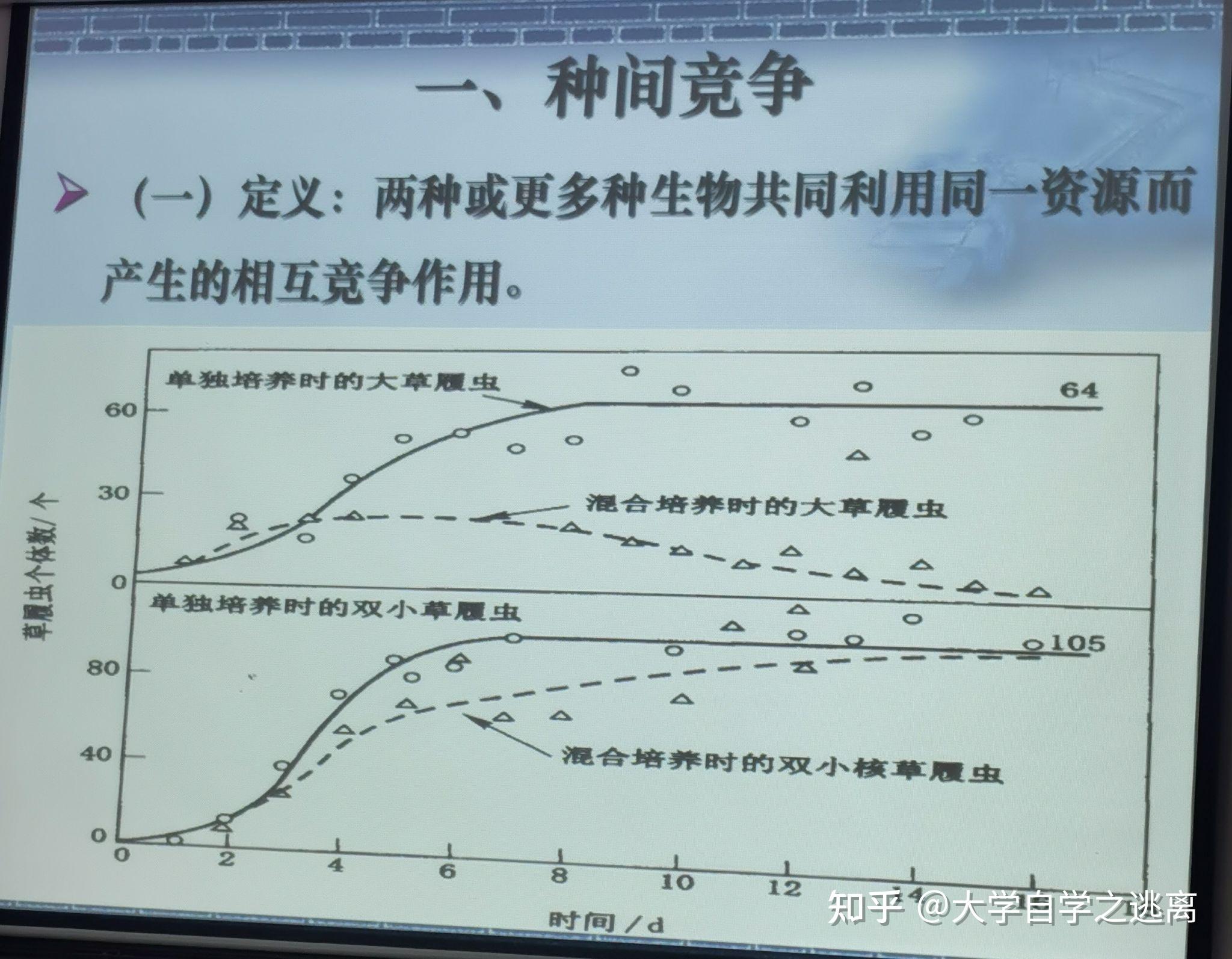 种间竞争的图像图片