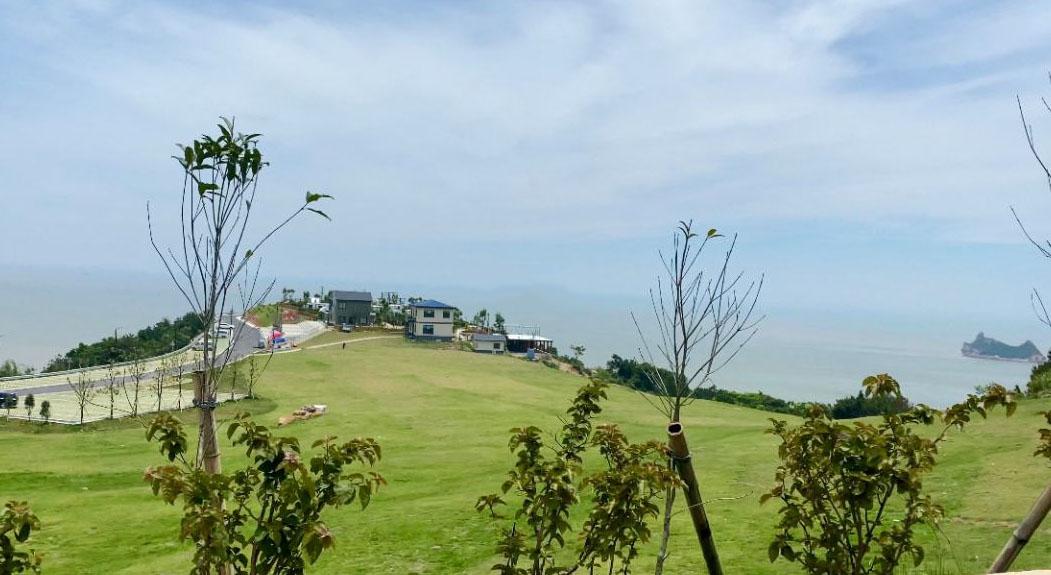 温州苍南韭菜园露营基地攻略,一大片草坪免费露营