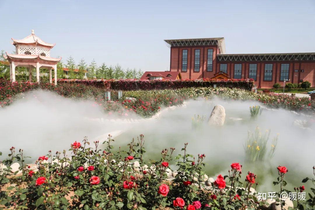 西京学院的校园环境如何