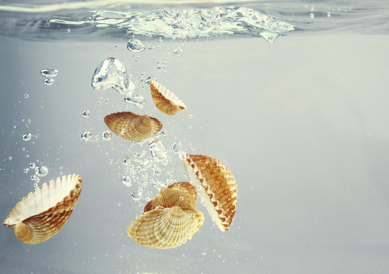 3. 金圭内胆耐用