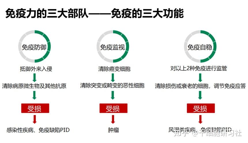 增强免疫力,迎击x疾病!