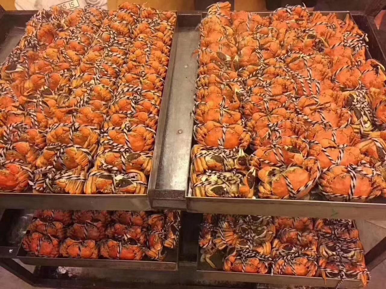 阳澄湖吃大闸蟹哪里好巴城阿四蟹庄寻找正宗阳澄湖大闸蟹