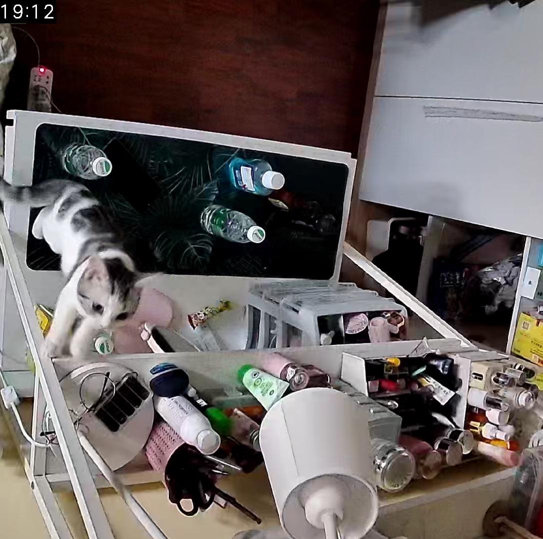 如何装监控在家 v2-464912c42f309aa20106d73cc2ed86cc_r.jpg