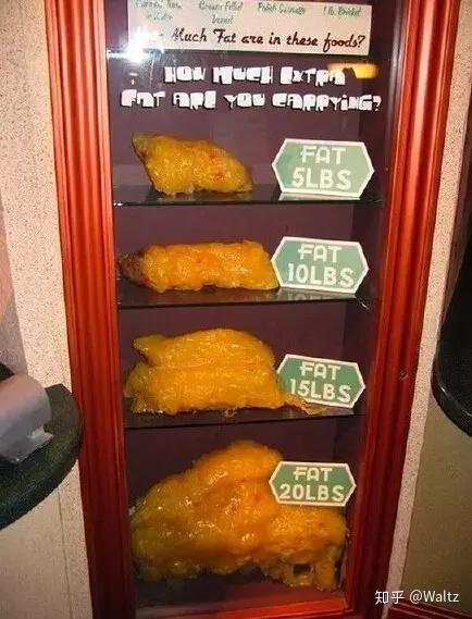 人体探秘篇1减肥的痛苦脂肪的奥秘