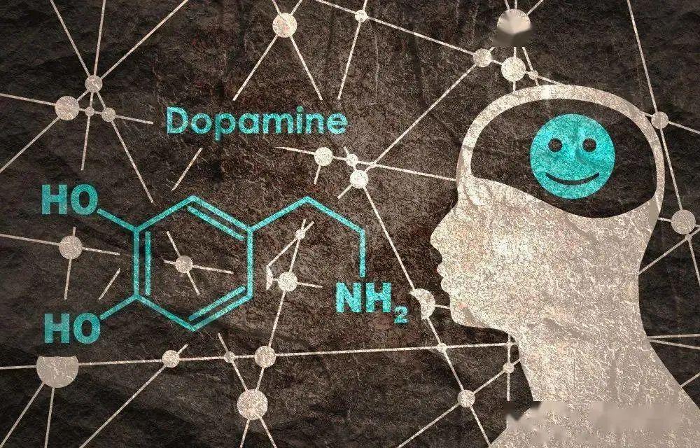 由快感到成就多巴胺vs內啡肽帶來的啟發深刻