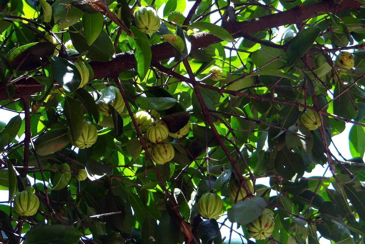 1. 周边配套齐全