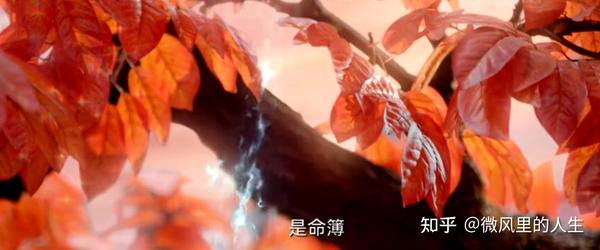 苍狼