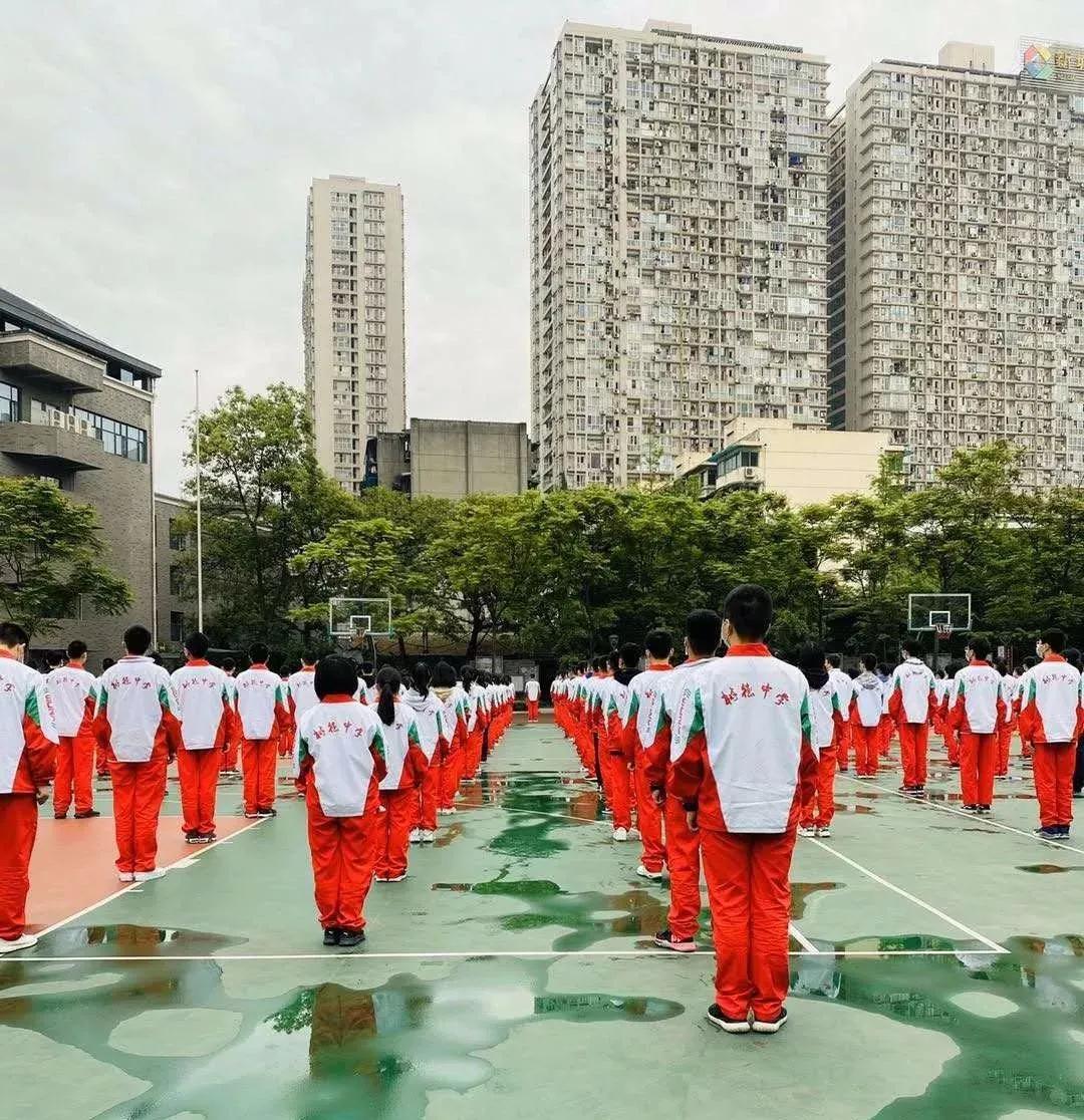 树德中学光环文理科都能夺冠重高线上6379分就选她