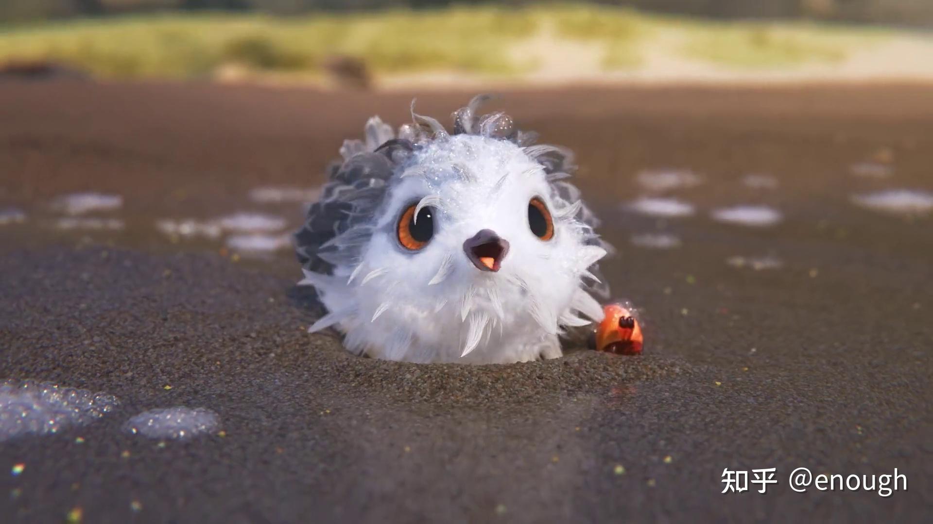 奥斯卡最佳动画短片《鹬》（Piper）:不仅对孩子们而且对我们成年人来说都是一堂美妙的课 - 知乎