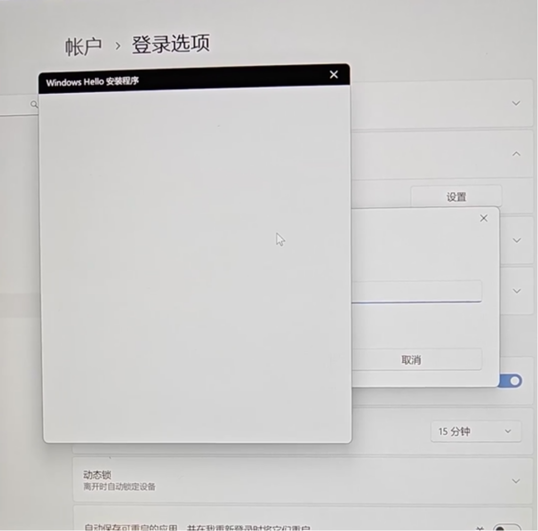 Windows 11 Windows Hello 人脸识别失败、重新设置白屏无响应解决方法
