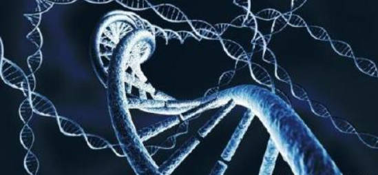 v2-468f4ab778b9395f25dcb5371b1af131_1440w.jpg?source=172ae18b