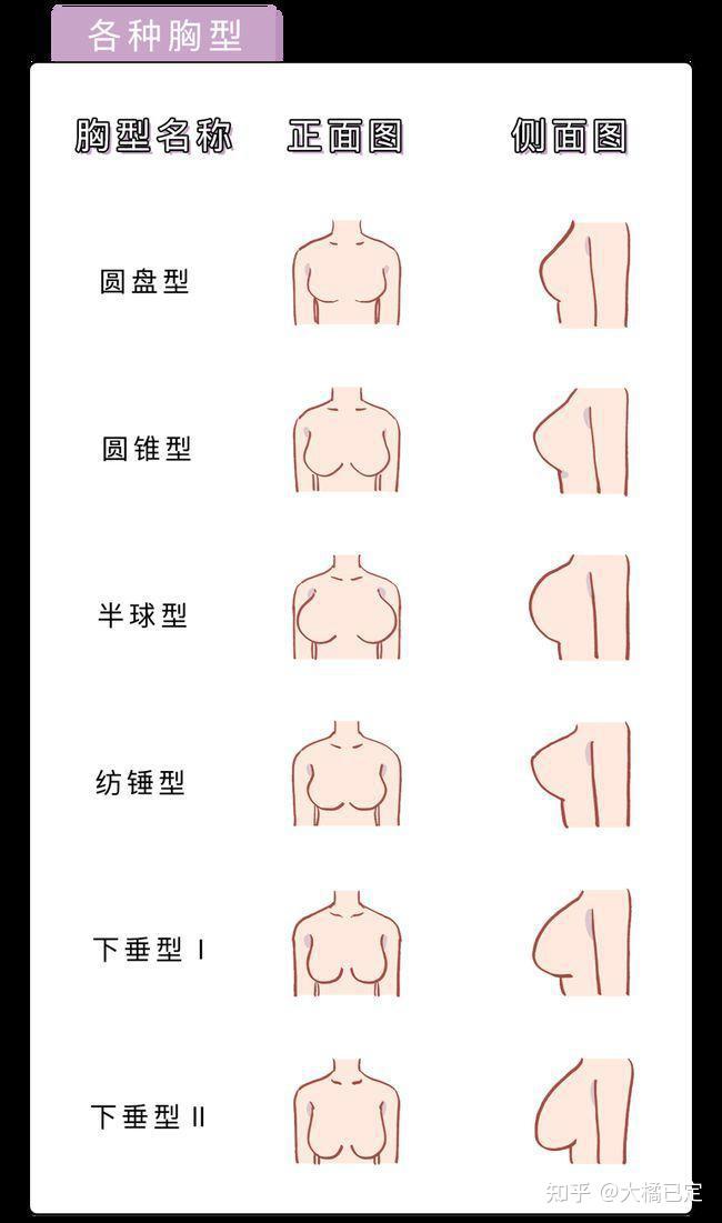 女性乳房发育的五个阶段