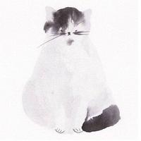 Zhihu profile picture for @miriam