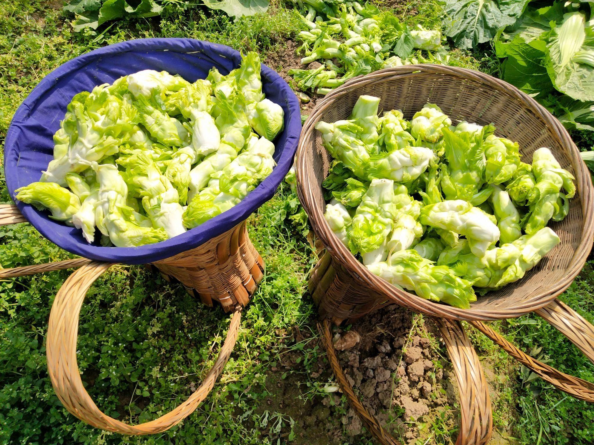 长大后,小时候的苦还记得吗? - 知乎